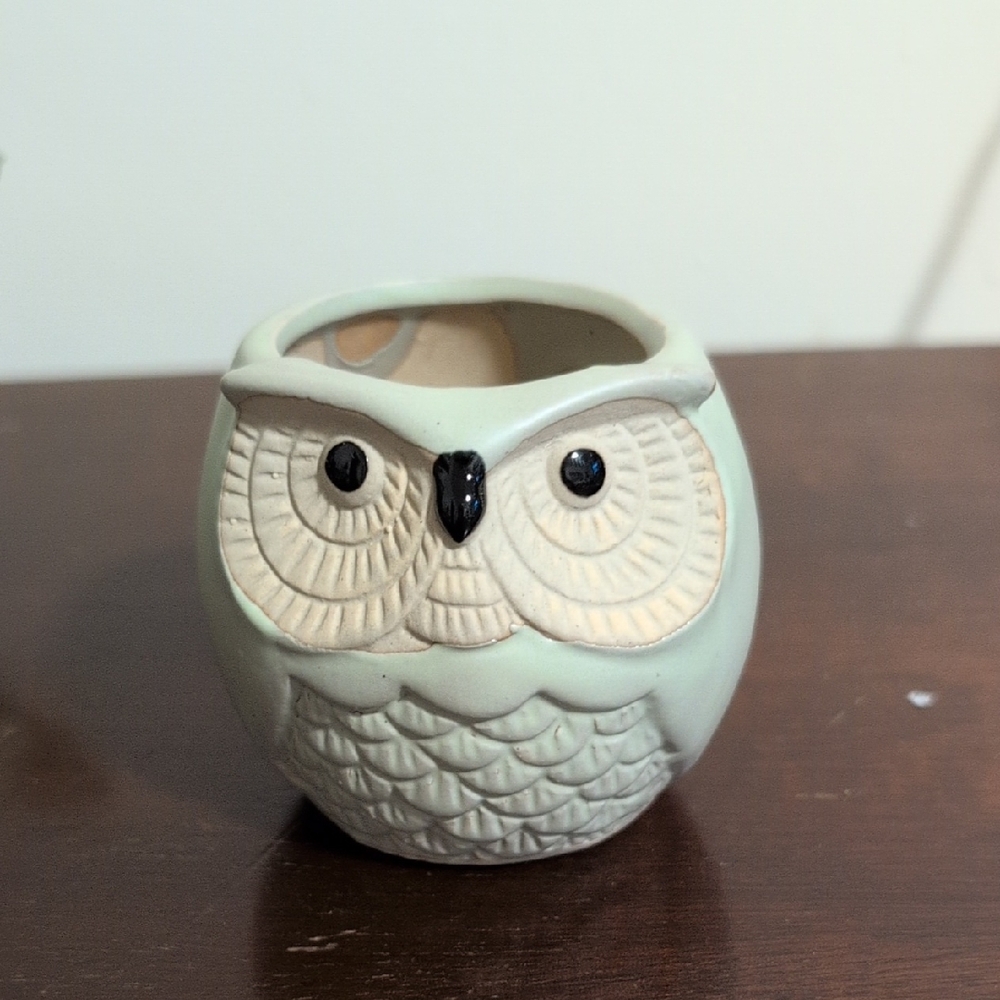 Decorative Ceramic Owl Planter in Light Gray/Green and Cream
